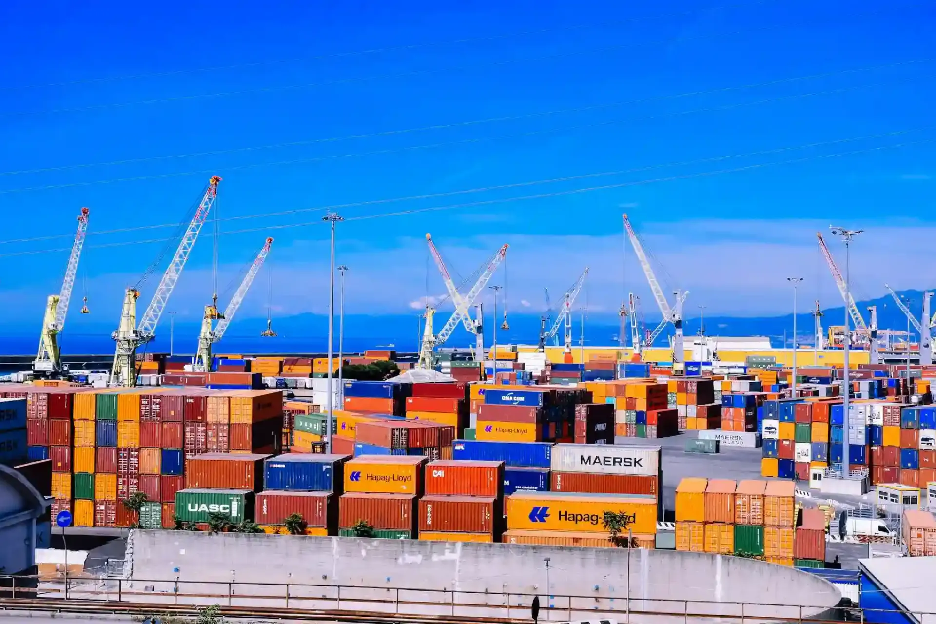 Andrea Musto || Pexels